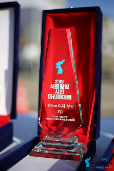 2019서울평양시민마라톤대회